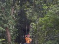 Tn DSC 4332